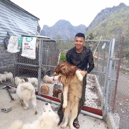 Theo Huy, việc cho chó ra sưởi nắng mỗi ngày sẽ góp phần hạn chế dịch bệnh xảy ra ở đàn chó.