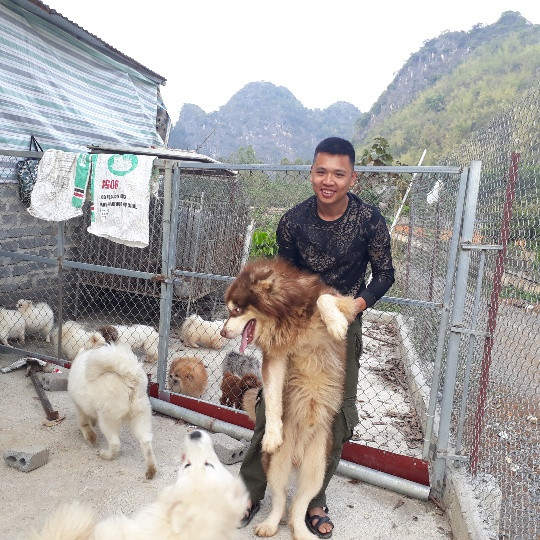 Theo Huy, việc cho chó ra sưởi nắng mỗi ngày sẽ góp phần hạn chế dịch bệnh xảy ra ở đàn chó. Theo Huy, việc cho chó ra sưởi nắng mỗi ngày sẽ góp phần hạn chế dịch bệnh xảy ra ở đàn chó.