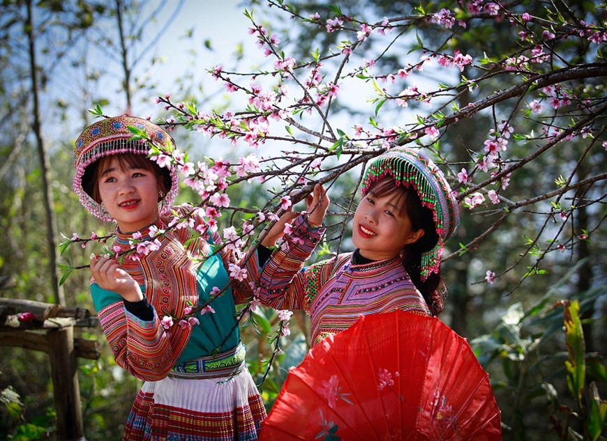 Đào cánh đơn thanh nhã, đào kép viên mãn với đủ sắc hồng trắng, hồng cánh sen, đỏ đô… 'rừng đào' ấy đang đua nhau khoe sắc thắm, đúng dịp Lễ hội khèn hoa Tây Bắc và Hội xuân mở cổng trời Fansipan đang chính hội. (Ảnh: CTV)