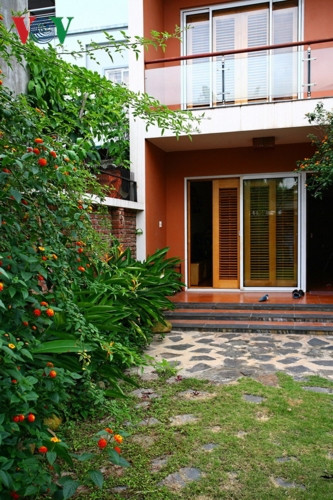 Mảnh vườn trên sân thượng, nơi đây là một vườn lan. Mảnh vườn trên sân thượng, nơi đây là một vườn lan.