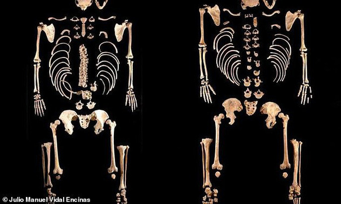  Các bộ hài cốt khác được khai quật - ảnh: JULIO MANUEL