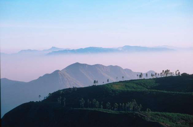 Nằm ở Tamil Nadu, Kodaikanal được biết đến với những món ăn đường phố ngon tuyệt với giá rẻ. Đắm mình trong vẻ đẹp của thiên nhiên hoặc thử một số hoạt động phiêu lưu với mức giá rất bình dân. 