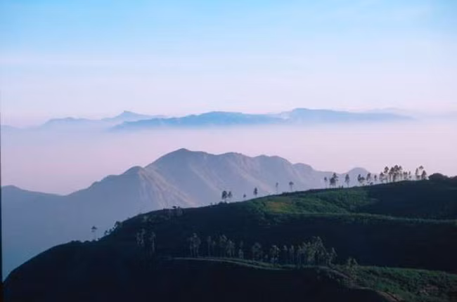 Nằm ở Tamil Nadu, Kodaikanal được biết đến với những món ăn đường phố ngon tuyệt với giá rẻ. Đắm mình trong vẻ đẹp của thiên nhiên hoặc thử một số hoạt động phiêu lưu với mức giá rất bình dân. 