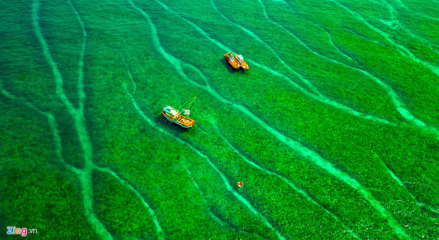 Tàu thuyền ngư dân huyện đảo Lý Sơn như lạc giữa 