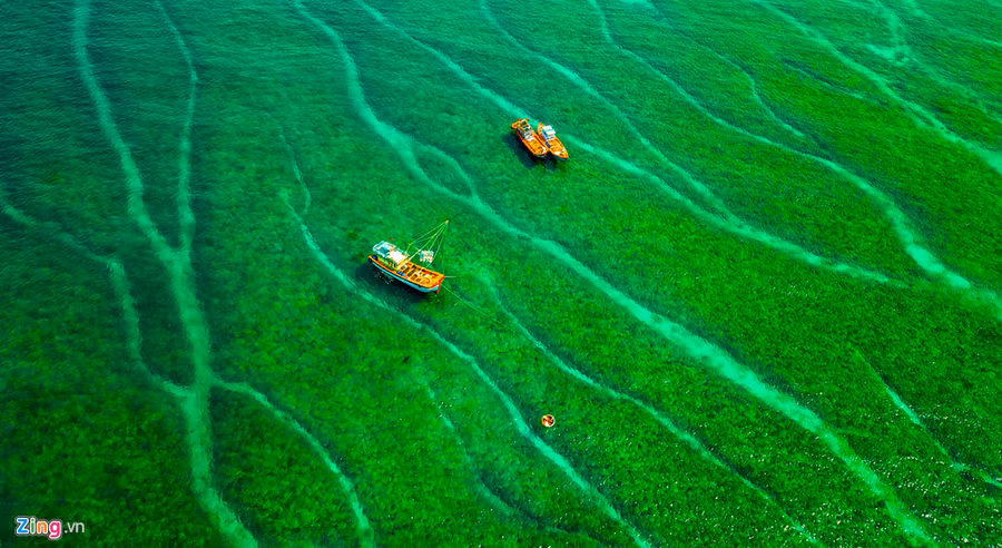 Tàu thuyền ngư dân huyện đảo Lý Sơn như lạc giữa 