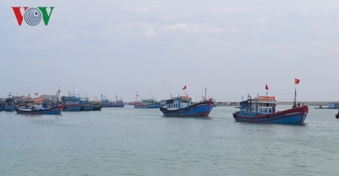 Các tàu cá Việt Nam. Ảnh minh họa.