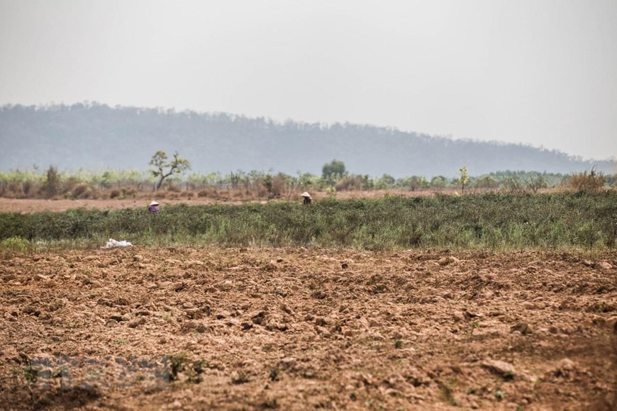 Trên địa bàn các huyện Ea Súp, Ea Kar, Krông Bông, Krông Păk, Cư M gar, Buôn Đôn, Krông Ana, đâu đâu cũng chỉ một màu khô hạn và nắng cháy oi nồng.