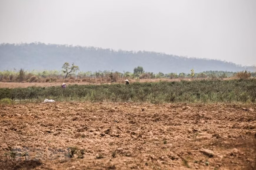 Trên địa bàn các huyện Ea Súp, Ea Kar, Krông Bông, Krông Păk, Cư M gar, Buôn Đôn, Krông Ana, đâu đâu cũng chỉ một màu khô hạn và nắng cháy oi nồng.