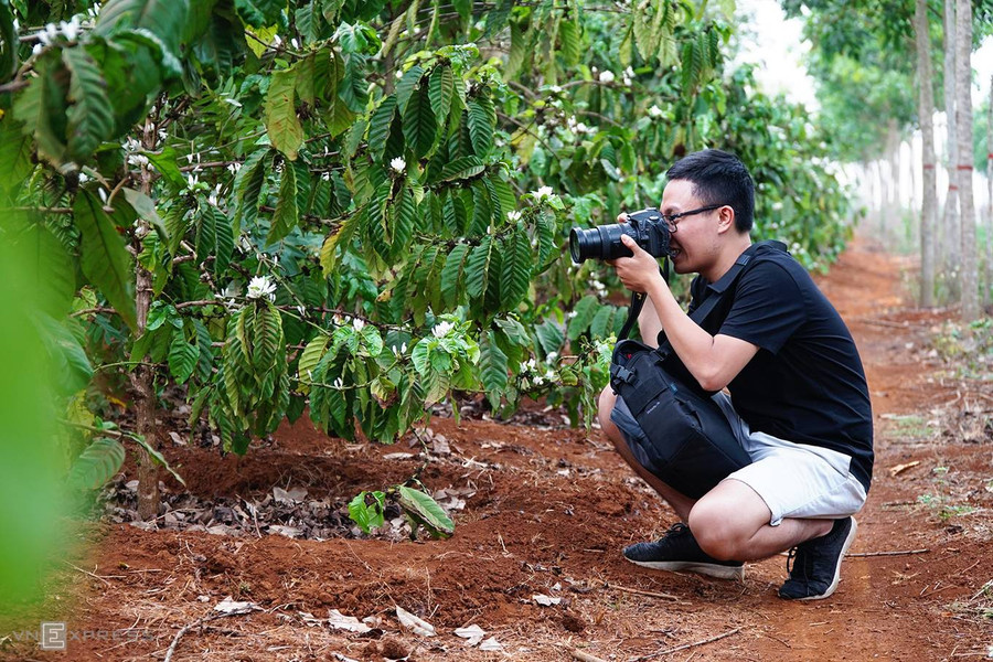Hiện là đợt hoa cuối cùng ở Gia Lai nên chỉ còn một số rẫy cà phê có hoa như: Biển Hồ, Chư Prông, Ia Grai, đường từ trung tâm Pleiku dẫn ra các huyện...