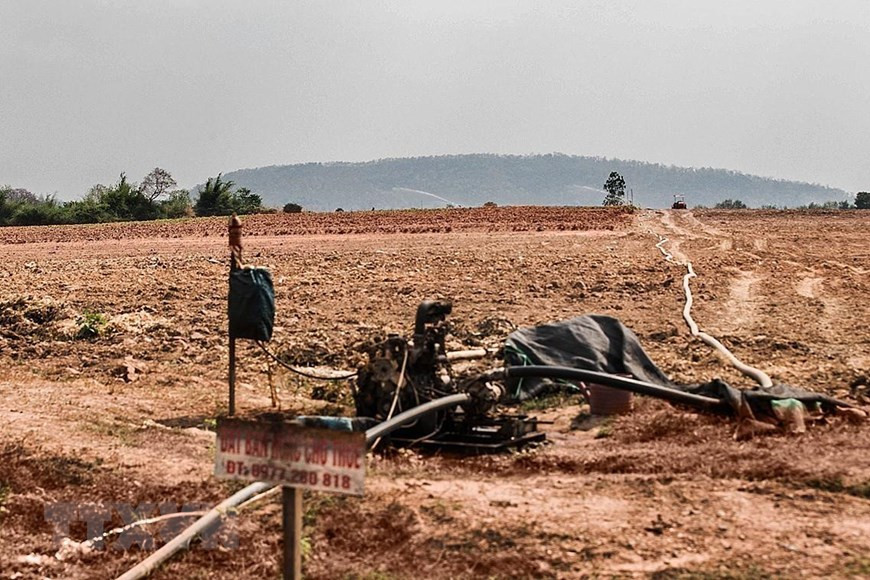 Tại xã Ea Bung (huyện Ea Súp), lượng mưa trái mùa giảm sút nghiêm trọng, người dân đã phải dùng máy bơm nước với dây dẫn dài tới cả km để dẫn nước tưới tiêu cho cây trồng từ mương nước tưới tiêu của xã.