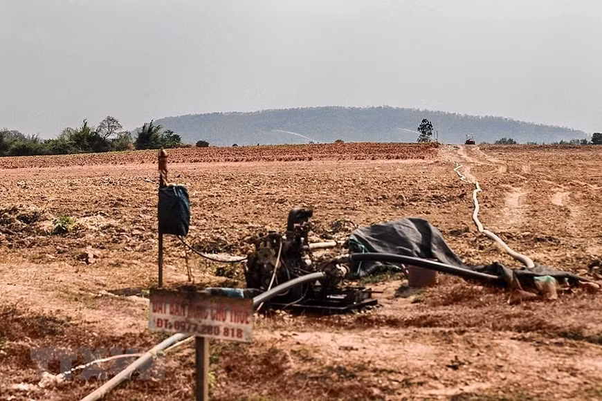 Tại xã Ea Bung (huyện Ea Súp), lượng mưa trái mùa giảm sút nghiêm trọng, người dân đã phải dùng máy bơm nước với dây dẫn dài tới cả km để dẫn nước tưới tiêu cho cây trồng từ mương nước tưới tiêu của xã.