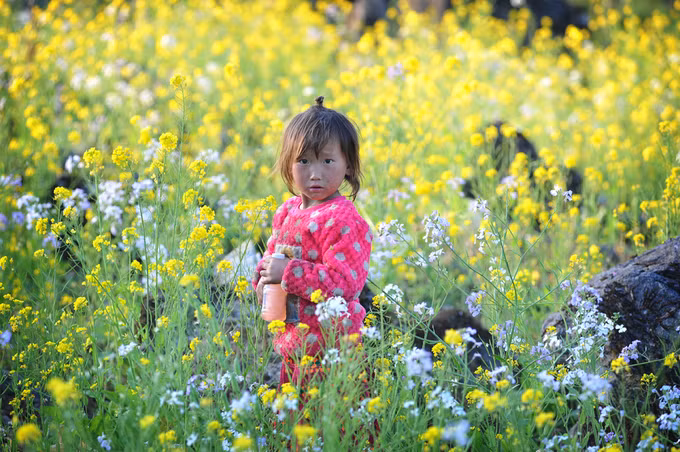 Nếu mận, đào thường khoe sắc bên bờ rào đá, phủ lên mái nhà, thì ở Lao Xa, hoa cải trắng - vàng được trồng dọc lối đi vào thôn, với những thửa ruộng lớn. Trẻ em ở Lao Xa chưa bị ảnh hưởng nhiều từ du lịch nên còn rất hồn nhiên.
