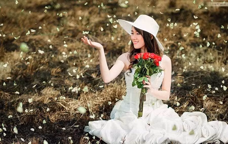  Ảnh minh họa: HÒA CAROL