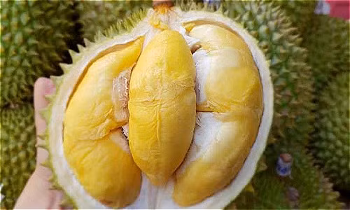 Sầu riêng tăng giá mạnh. Ảnh: HC.