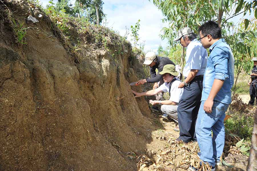  Đoàn khảo cổ khảo sát địa tầng tại di chỉ khảo cổ học An Khê. Ảnh: Nguyễn Giác
