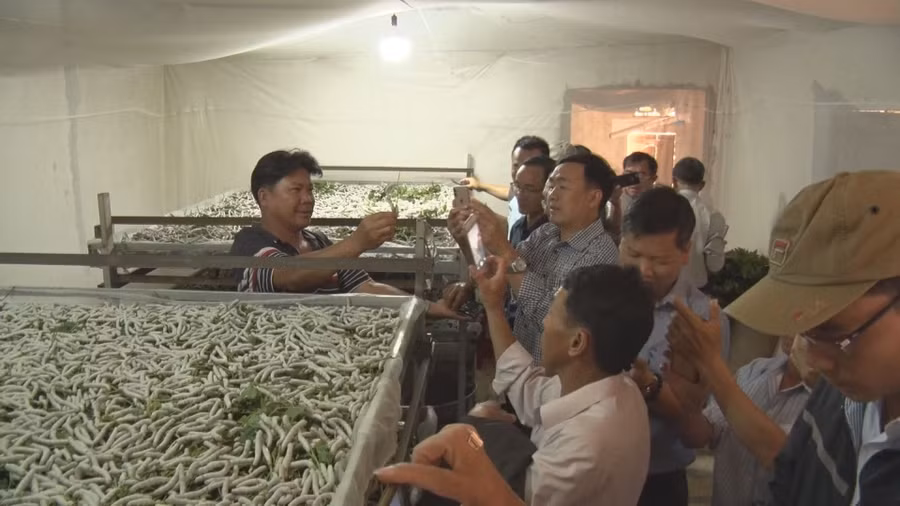  Đoàn cán bộ huyện Kbang tham quan mô hình nuôi tằm tại tỉnh Lâm Đồng. Ảnh: M.N