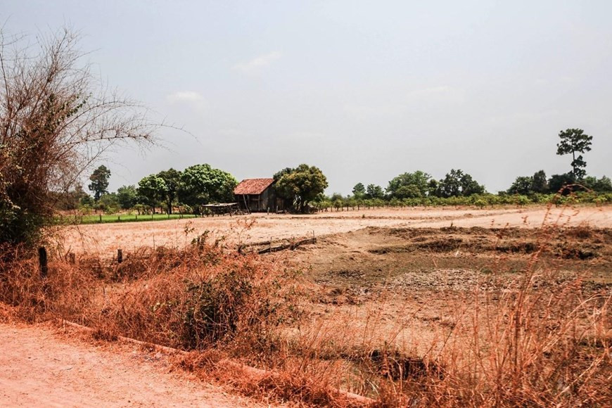 Trên địa bàn các huyện Ea Súp, Ea Kar, Krông Bông, Krông Păk, Cư M gar, Buôn Đôn, Krông Ana, đâu đâu cũng chỉ một màu khô hạn và nắng cháy oi nồng.