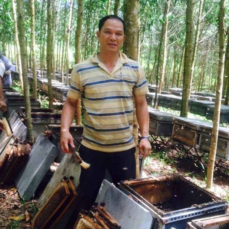  Ông Lê Văn Thành nuôi ong dưới tán rừng cao su. Ảnh: L.T