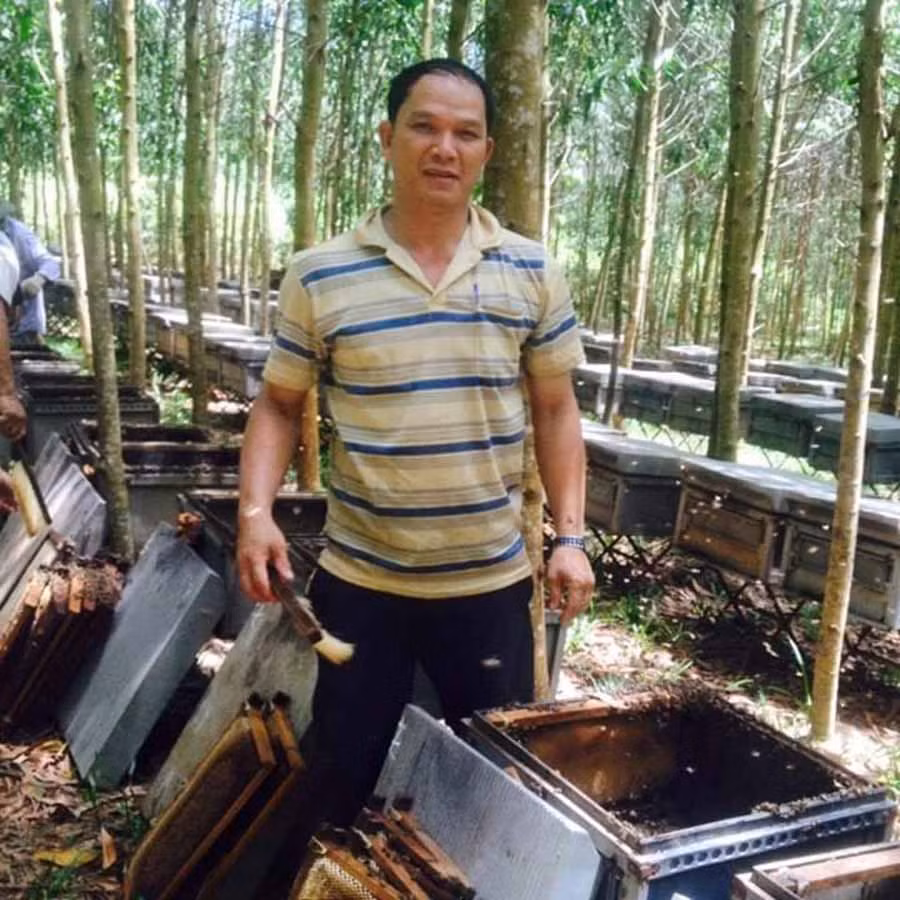  Ông Lê Văn Thành nuôi ong dưới tán rừng cao su. Ảnh: L.T