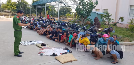 Các đối tượng tham gia đá gà ăn thua bằng tiền