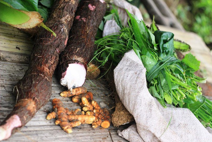  “Chiến lợi phẩm” có được sau khi lùng sục khắp rẫy, dự định tối nay gia đình anh sẽ có bữa cơm ngon - Ảnh: Trác Rin