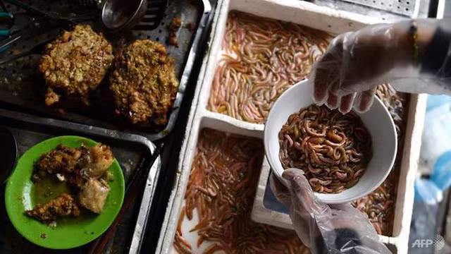  Chả rươi - món ăn 