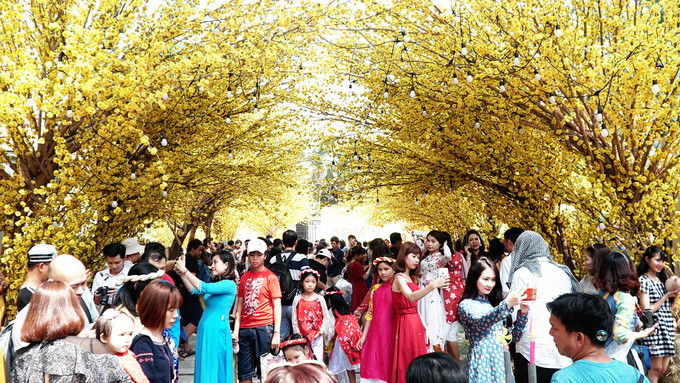 Hàng chục cây mai giả được trang trí dọc tuyến đường, phủ các không gian tham quan. Không khí càng sôi động hơn khi rất nhiều người diện áo dài đến đây để chụp ảnh.