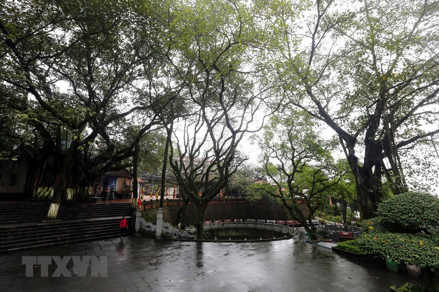 Khuôn viên của Đền có rất nhiều cây cổ thụ tạo nên nét đặc trưng riêng. Khuôn viên của Đền có rất nhiều cây cổ thụ tạo nên nét đặc trưng riêng.
