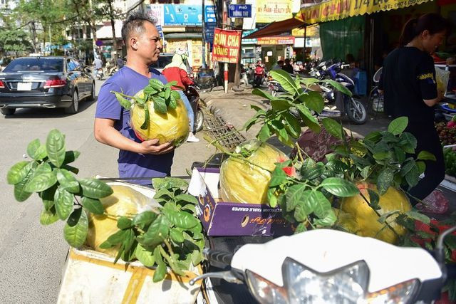 Trung bình mỗi ngày cửa hàng chị Hùng Ơn bán được từ 15-20 trái bưởi. Nhiều vị khách ở các tỉnh xa như Đà Nẵng, Sài Gòn cũng đặt mua nhờ chuyển vào để chơi Tết Nguyên đán.