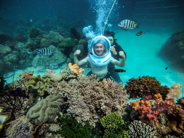 Địa hình là đảo nên các địa điểm lặn ngắm san hô ở Phú Quốc khá cạn, trung bình khoảng 10-12m.