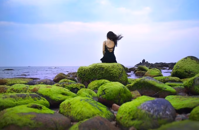 Nhiều bạn trẻ chọn thời điểm này để đến tham quan du lịch và chụp những bức hình lưu niệm ấn tượng.