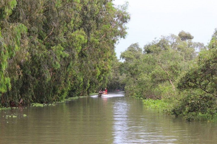 Rừng tràm Trà Sư, huyện Tịnh Biên, tỉnh An Giang với diện tích khoảng 850 ha, xung quanh khu rừng là những dòng sông nhỏ được cây tràm bao quanh. Nhiều bạn trẻ từ TP HCM đã chịu khó vượt hàng trăm cây số để đến, thưởng thức vẻ đẹp lặng lẽ, mộng mơ của rừng tràm Trà Sư (Ảnh: Thanh niên).