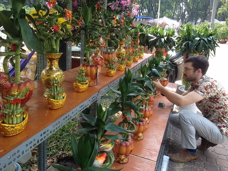  Một du khách nước ngoài chọn mua cây thần tài có nguồn gốc từ Đài Loan