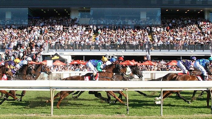 Tổ hợp vui chơi giải trí đa năng - Trường đua ngựa đã được Chính phủ phê duyệt cho thành phố Hà Nội sẽ có hoạt động kinh doanh đặt cược. Dự kiến, khi dự án đi vào hoạt động sẽ góp phần tăng nguồn thu ngân sách trên địa bàn, thuế doanh nghiệp thu được dự kiến đạt khoảng 40 - 50 triệu USD/năm.