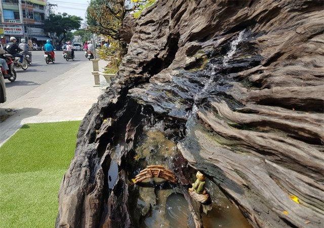 Gốc cây này được cho là có hàng trăm năm tuổi, rất quý hiếm