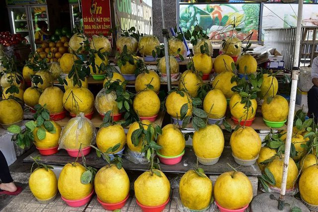 “Loại bưởi này được trồng nhiều ở Na Hang, Tuyên Quang. Trước đây, bà con chủ yếu bán trong tỉnh, vài năm nay mới được chuyển xuống Hà Nội. Do giá cả đắt, nên loại bưởi này cũng kén khách mua hàng tuy nhiên nếu ai đã chơi quen thì rất thích”, chị Huyền, chủ một cửa hàng bán bưởi Kỳ Đà ở gần chợ Bưởi (Hà Nội) nói.