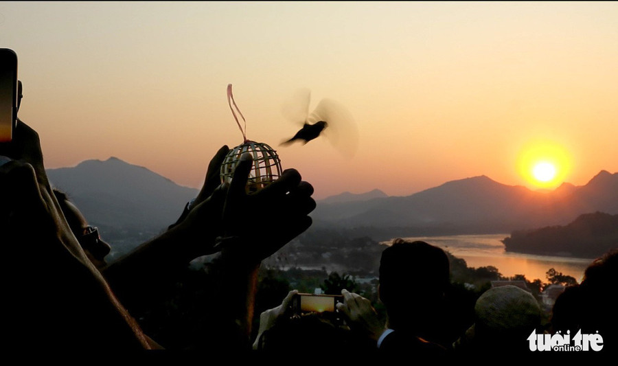 Phóng sinh trong ánh chiều tà trên đỉnh núi Phousi được xem là mang lại nhiều phúc lộc - Ảnh: T.T.D.