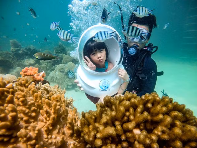 Ở biển Phú Quốc, du khách chỉ cần mặc áo phao và mang kính lặn có ống thông khí rồi úp mặt xuống nước là có thể chiêm ngưỡng san hô.