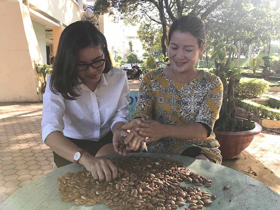  Hạt kơ nia mang hương vị rất riêng của núi rừng. Ảnh: P.V