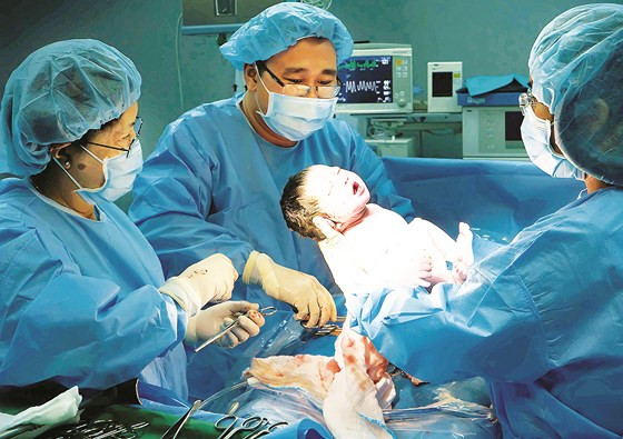  Chào đời. Ảnh: NGUYỄN HỮU HỒNG