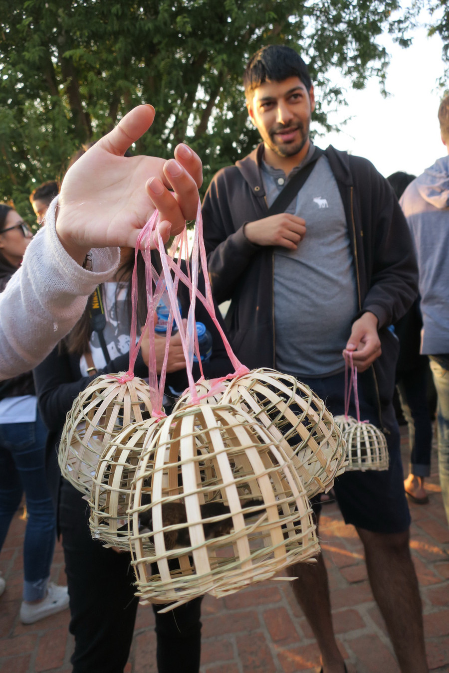  Nhóm bạn trẻ người Kenya chuẩn bị các lồng chim để thả lúc mặt trời lặn - Ảnh: T.T.D.