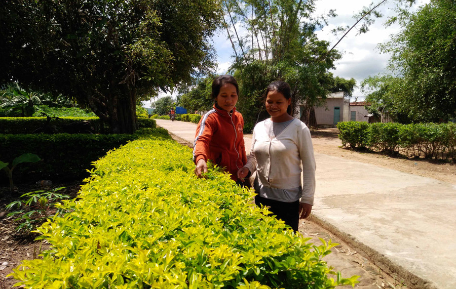 Hội viên, phụ nữ làng Jun, xã Yang Bắc, huyện Đak Pơ tham gia trồng cây chuỗi ngọc làm hàng rào. Ảnh: Ngọc Minh