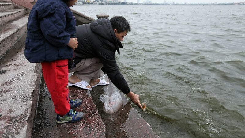  Người đàn ông thả cá chép ở Hồ Tây (Hà Nội). Ảnh: VietNamNet.