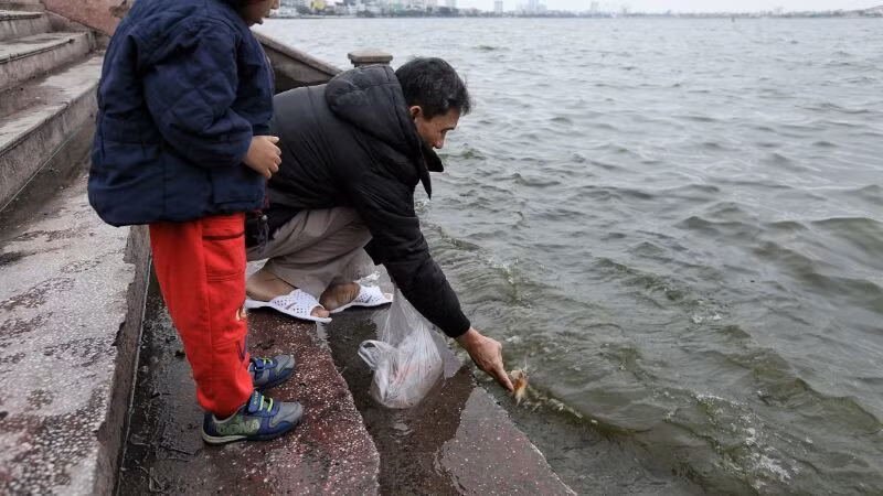  Người đàn ông thả cá chép ở Hồ Tây (Hà Nội). Ảnh: VietNamNet.