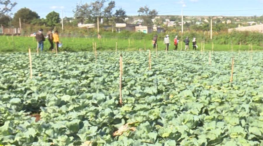 Ảnh: Ngọc Định