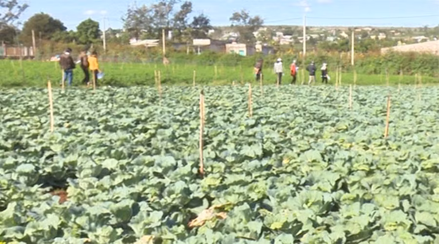 Ảnh: Ngọc Định