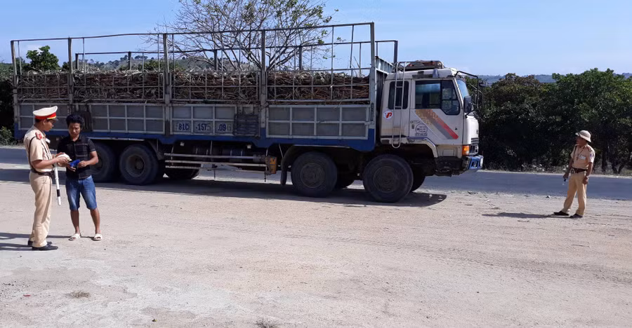 Cảnh sát giao thông kiểm tra các xe chuyên chở mía. Ảnh: Mai Linh