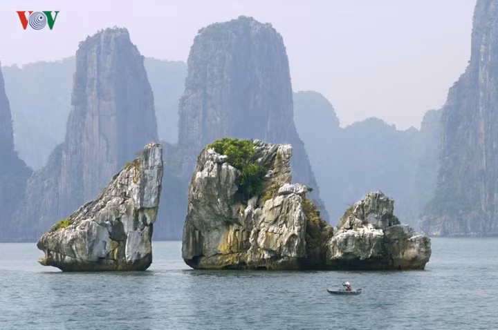 Vịnh Hạ Long bao gồm vùng biển đảo thuộc thành phố Hạ Long, thành phố Cẩm Phả và một phần huyện đảo Vân Đồn của tỉnh Quảng Ninh. Vịnh Hạ Long được UNESCO nhiều lần công nhận là di sản thiên nhiên của thế giới với hàng nghìn hòn đảo kỳ vĩ và sống động, là một điểm du lịch rất hấp dẫn với du khách trong nước và quốc tế.