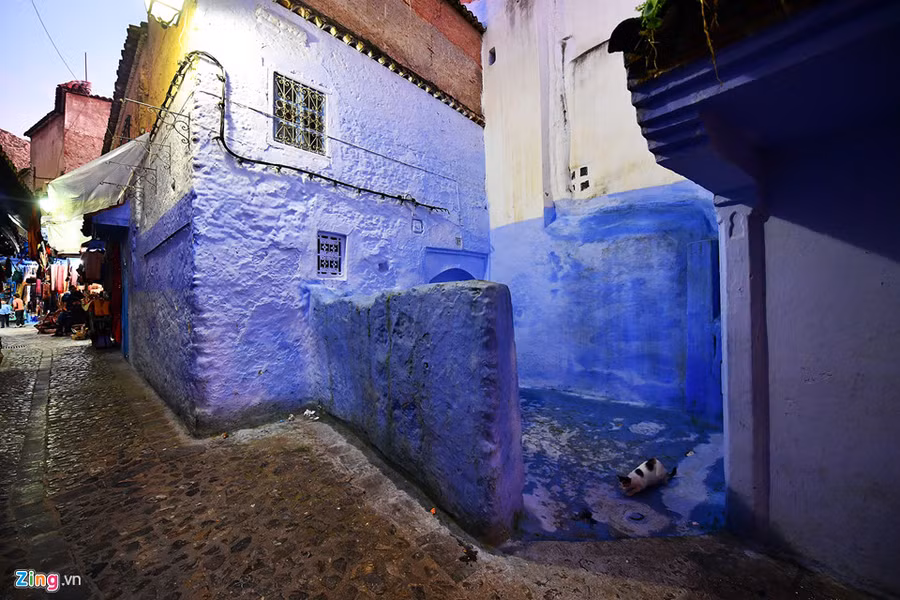 Dưới bóng tối, màu xanh này ánh lên những sắc tím tạo cảm giác rất sặc sỡ. 