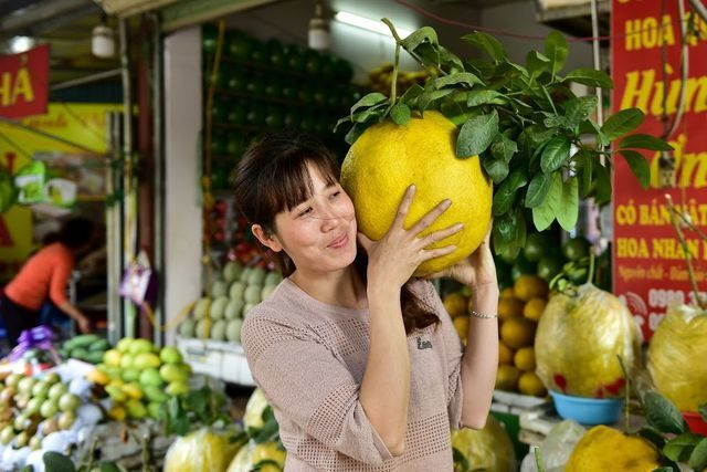  Do có trọng lượng lớn lên một cây chỉ cho số lượng quả rất hạn chế. Để giữ quả không bị rụng cuống, các chủ vườn thường phải buộc túi bóng và dùng gậy để chống đỡ.